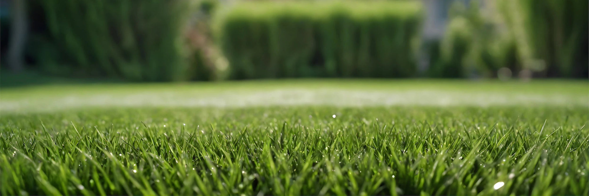 Synthetic Grass Turf