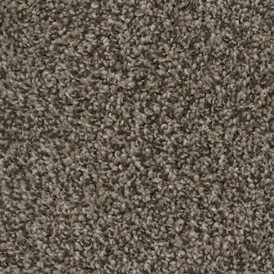 Abracadabra-Broadloom Carpet-Marquis Industries-BB004 Swiss Mocha-KNB Mills