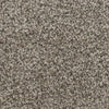 Abracadabra-Broadloom Carpet-Marquis Industries-BB001 Birch Bark-KNB Mills