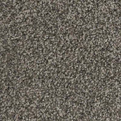 Abracadabra-Broadloom Carpet-Marquis Industries-BB002 Chino-KNB Mills