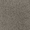 Abracadabra-Broadloom Carpet-Marquis Industries-BB011 Dove-KNB Mills