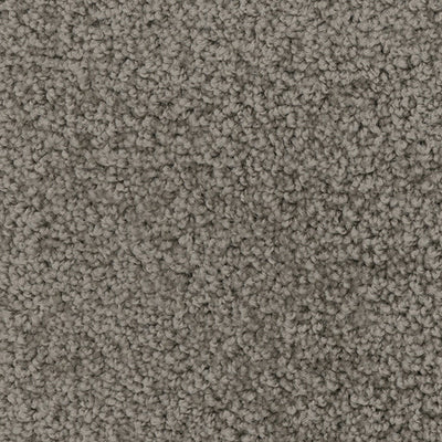 Abracadabra-Broadloom Carpet-Marquis Industries-BB011 Dove-KNB Mills