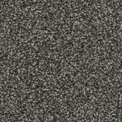 Abracadabra-Broadloom Carpet-Marquis Industries-BB008 Grand Teton-KNB Mills