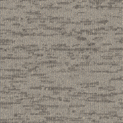 Accord-Broadloom Carpet-Shaw Contract-Metallic Beige-KNB Mills