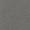 Allure-Broadloom Carpet-Earthwerks-Allure Foxy-KNB Mills