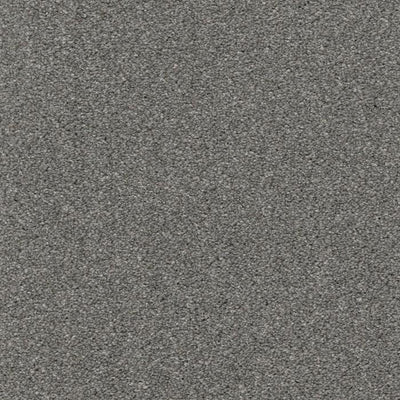 Allure-Broadloom Carpet-Earthwerks-Allure Foxy-KNB Mills