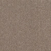 Allure-Broadloom Carpet-Earthwerks-Allure Glittering Gold-KNB Mills