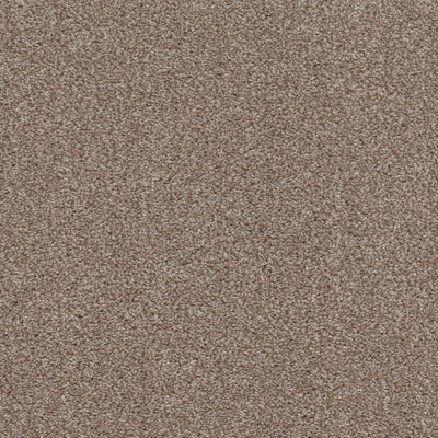 Allure-Broadloom Carpet-Earthwerks-Allure Glittering Gold-KNB Mills