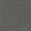 Allure-Broadloom Carpet-Earthwerks-Allure Iron Frost-KNB Mills