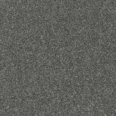 Allure-Broadloom Carpet-Earthwerks-Allure Iron Frost-KNB Mills