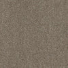 Allure-Broadloom Carpet-Earthwerks-Allure Shell-KNB Mills