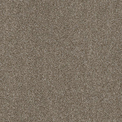 Allure-Broadloom Carpet-Earthwerks-Allure Shell-KNB Mills