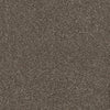 Allure-Broadloom Carpet-Earthwerks-Allure Shimmering Smoke-KNB Mills