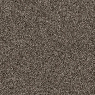Allure-Broadloom Carpet-Earthwerks-Allure Shimmering Smoke-KNB Mills