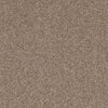 Allure-Broadloom Carpet-Earthwerks-Allure Tan Lines-KNB Mills