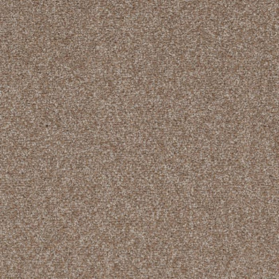 Allure-Broadloom Carpet-Earthwerks-Allure Tan Lines-KNB Mills