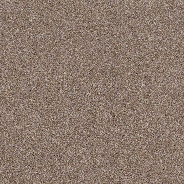 Allure-Broadloom Carpet-Earthwerks-Allure Foxy-KNB Mills