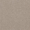 Allure-Broadloom Carpet-Earthwerks-Allure In The Buff-KNB Mills