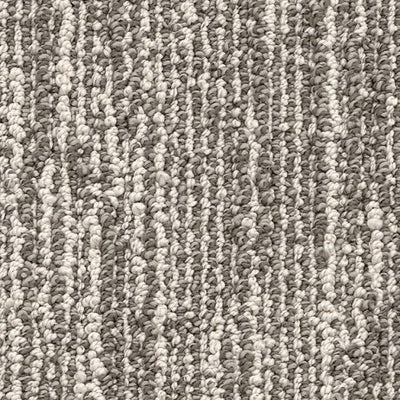 Andromeda-Broadloom Carpet-Gulistan Floors-G1036 Summer Nights-KNB Mills