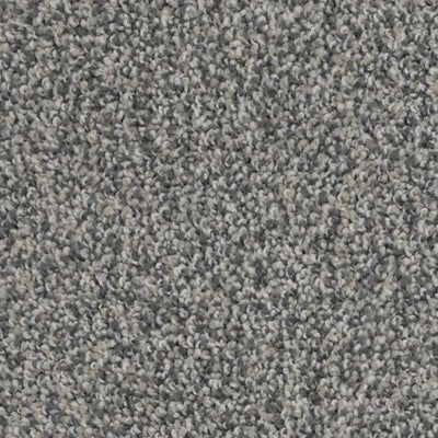 Apollo-Broadloom Carpet-Gulistan Floors-G9357-KNB Mills