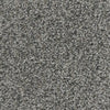 Apollo-Broadloom Carpet-Gulistan Floors-G1675-KNB Mills