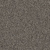 Apollo-Broadloom Carpet-Gulistan Floors-G1791-KNB Mills