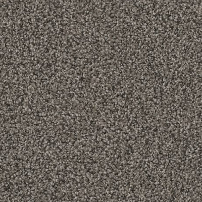 Apollo-Broadloom Carpet-Gulistan Floors-G1791-KNB Mills