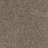 Apollo-Broadloom Carpet-Gulistan Floors-G1020-KNB Mills