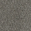 Apollo-Broadloom Carpet-Gulistan Floors-G1319-KNB Mills