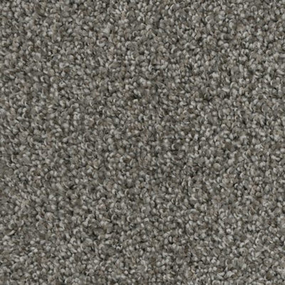 Apollo-Broadloom Carpet-Gulistan Floors-G1319-KNB Mills