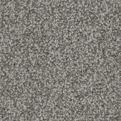 Apollo-Broadloom Carpet-Gulistan Floors-G1601-KNB Mills