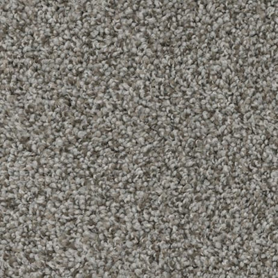 Apollo-Broadloom Carpet-Gulistan Floors-G1691-KNB Mills