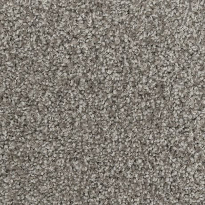 Apollo-Broadloom Carpet-Gulistan Floors-G1793-KNB Mills