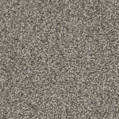 Apollo-Broadloom Carpet-Gulistan Floors-G9331-KNB Mills