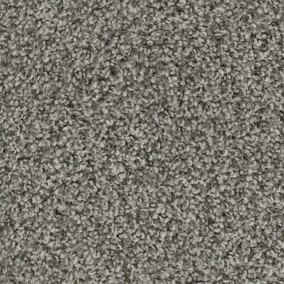 Apollo-Broadloom Carpet-Gulistan Floors-G9339-KNB Mills