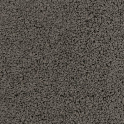 Apollo-Broadloom Carpet-Gulistan Floors-G0270-KNB Mills