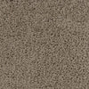 Artemis-Broadloom Carpet-Gulistan Floors-G1020 Dusty Roads-KNB Mills