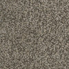 Artemis-Broadloom Carpet-Gulistan Floors-G1314 Harrington-KNB Mills