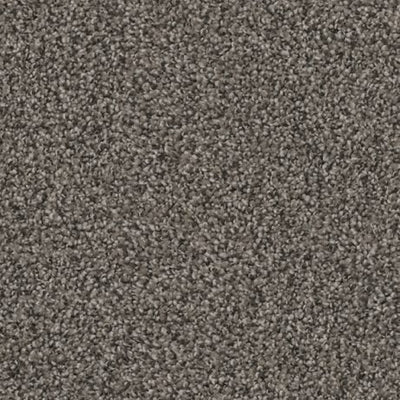 Artemis-Broadloom Carpet-Gulistan Floors-G1791 Wellington-KNB Mills