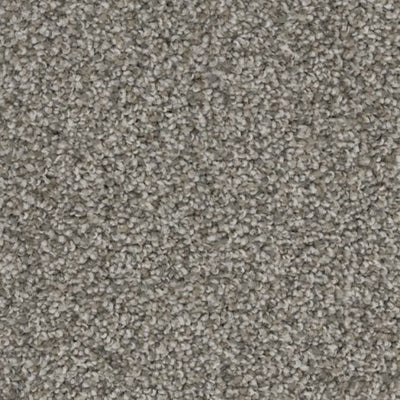Artemis-Broadloom Carpet-Gulistan Floors-G9331 Aspen Bark-KNB Mills