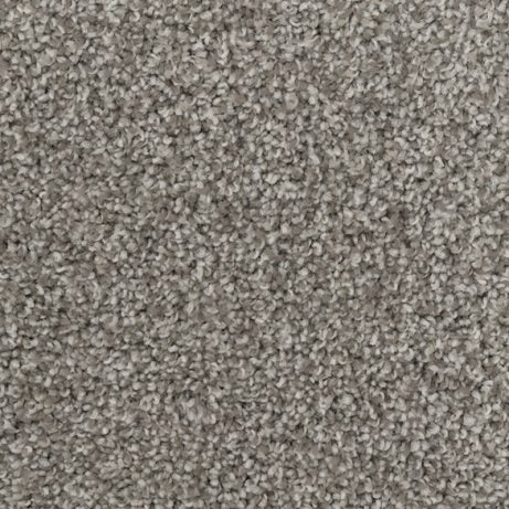 Artemis-Broadloom Carpet-Gulistan Floors-G9331 Aspen Bark-KNB Mills