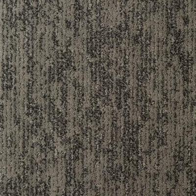 Aspen-Broadloom Carpet-Gulistan Floors-29616 Graphite-KNB Mills