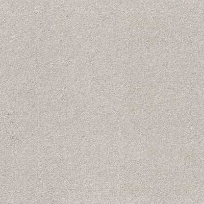 Aspire-Broadloom Carpet-Gulistan Floors-G001 Angora-KNB Mills