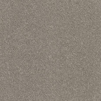 Aspire-Broadloom Carpet-Gulistan Floors-G002 Cashmere-KNB Mills