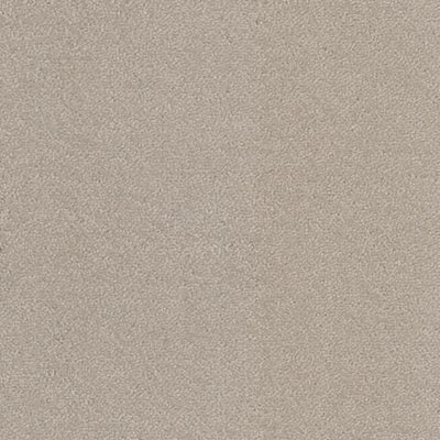 Aspire-Broadloom Carpet-Gulistan Floors-G004 Mohair-KNB Mills