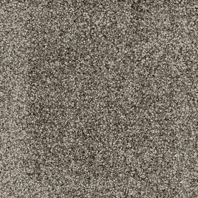 Astonishing-Broadloom Carpet-Marquis Industries-BB003 Gray Cloud-KNB Mills