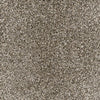 Astonishing-Broadloom Carpet-Marquis Industries-BB004 Virtual Taupe-KNB Mills
