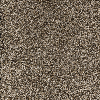 Astonishing-Broadloom Carpet-Marquis Industries-BB006 Saddle Brown-KNB Mills