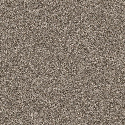 Bel Air-Broadloom Carpet-Marquis Industries-BB005 Weathered Oak-KNB Mills