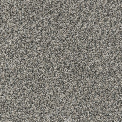 Believer-Broadloom Carpet-Gulistan Floors-G1517 Seashore-KNB Mills